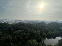 Normanton Park (D5), Apartment #459252441